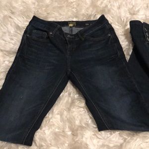 True craft skinny jeans with buttons on the ankle